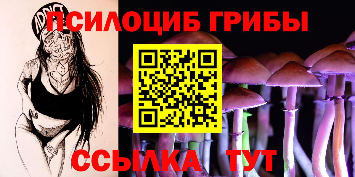 Галлюциногенные грибы GOLDEN TEACHER Реутов