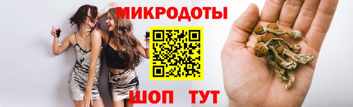 Псилоцибиновые грибы MAGIC MUSHROOMS  Вход с VPN  Реутов 